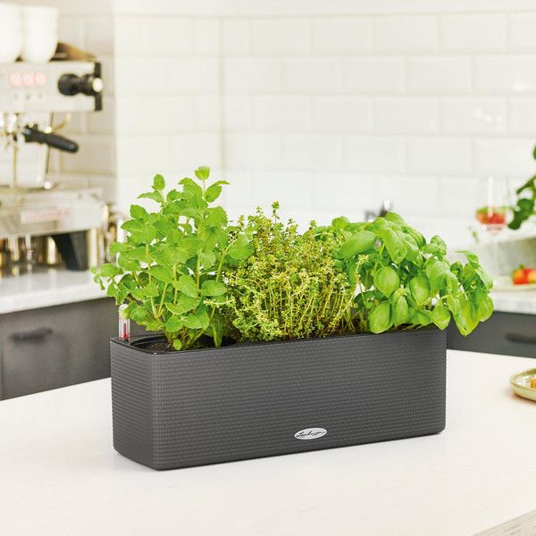 Умный вазон Lechuza Balconissima 40 7,5 л зеленый 13685