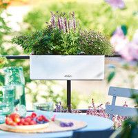 Умный вазон Lechuza Balconissima 40 7,5 л зеленый 13685