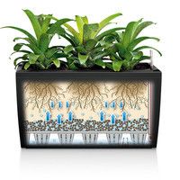 Умный вазон Lechuza Cararo 75 52 л коричневый 18804