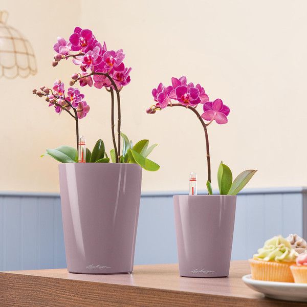 Умный вазон Lechuza Deltini Premium 14 1,2 л розовый 14921