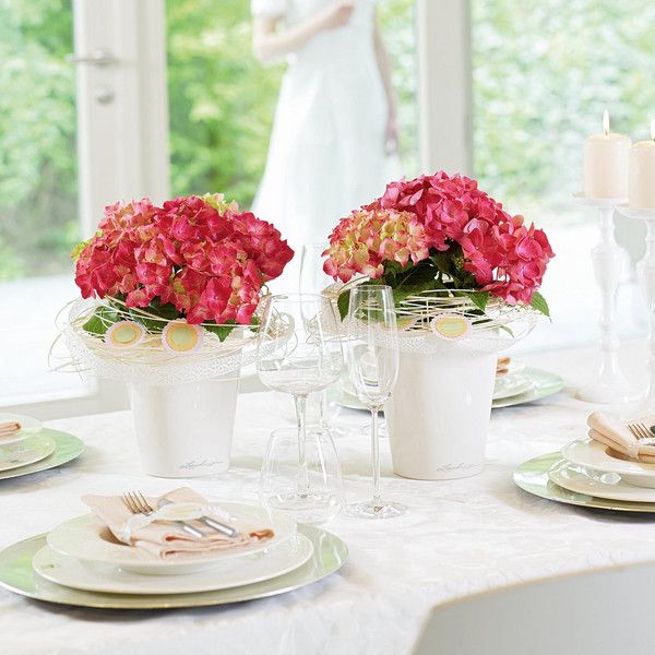 Умный вазон Lechuza Mini-Deltini 0,4 л красный 14960