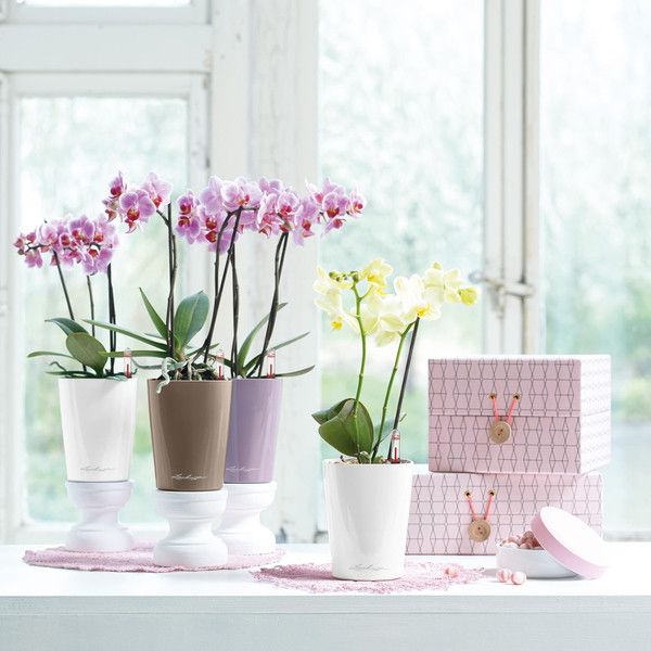 Умный вазон Lechuza Mini-Deltini 0,4 л красный 14960