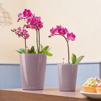 Умный вазон Lechuza Mini-Deltini 0,4 л красный 14960