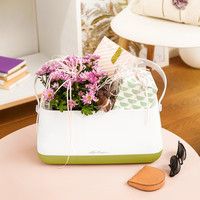 Умный вазон Lechuza Yula 3,5 л белый 13861