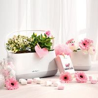 Умный вазон Lechuza Yula 3,5 л белый 13861