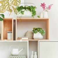 Умный вазон Lechuza Yula 3,5 л белый 13861