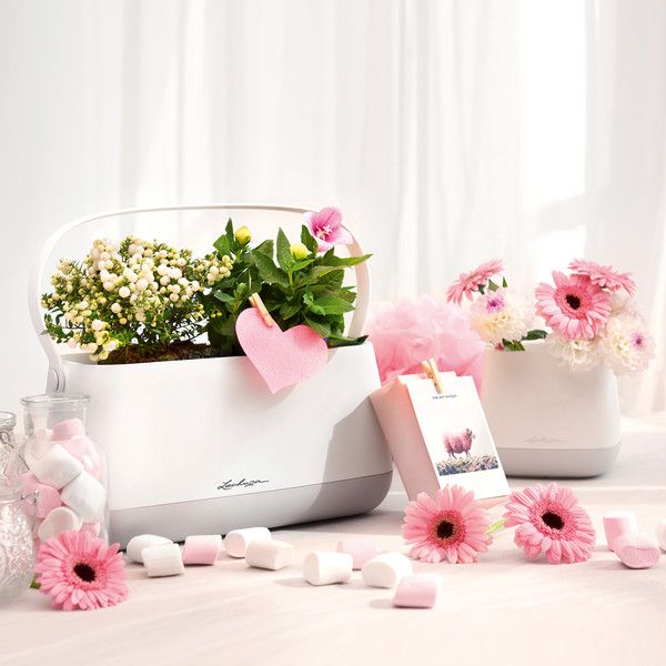 Умный вазон Lechuza Yula 3,5 л белый 30657783