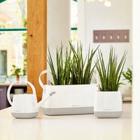 Лейка Lechuza Yula 1,7 л белая 13870