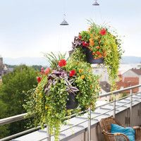 Подвес для вазона Lechuza Cascadino Color зеленый 14999