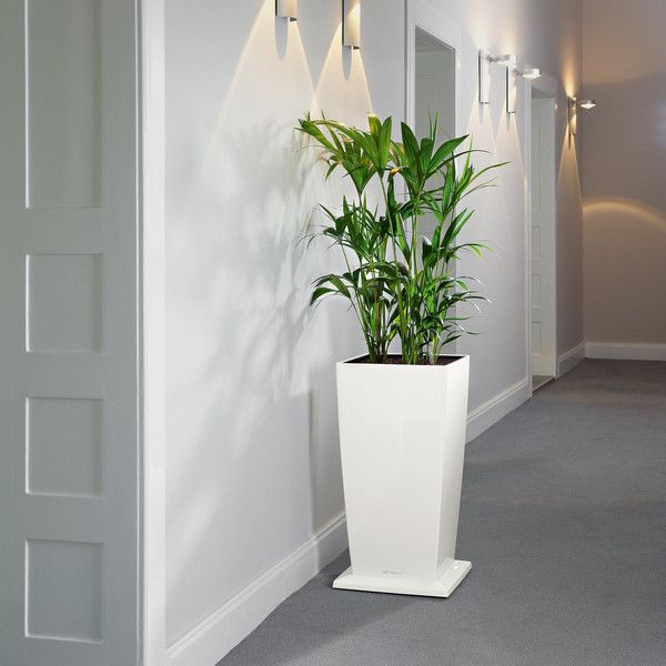 Ролики для вазона Lechuza Cubico 30 черный 13427