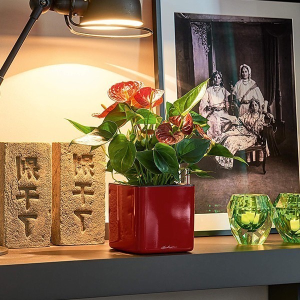 Кашпо Lechuza Cube Glossy 14 ярко-красный блестящий 13512