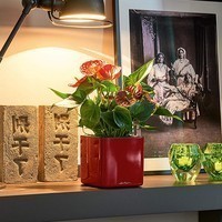 Кашпо Lechuza Cube Glossy 14 ярко-красный блестящий 13512