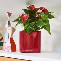 Кашпо Lechuza Cube Glossy 14 ярко-красный блестящий 13512