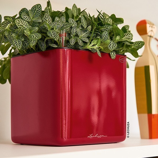 Кашпо Lechuza Cube Glossy 14 ярко-красный блестящий 13512