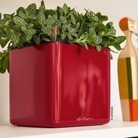 Кашпо Lechuza Cube Glossy 14 ярко-красный блестящий 13512