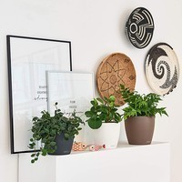 Кашпо Lechuza Classico Color 18 серый 13263