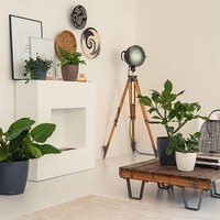 Кашпо Lechuza Classico Color 18 серый 13263