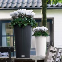 Кашпо Lechuza Cilindro Color 23 серый 13943