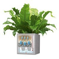 Кашпо Lechuza Canto Stone Low 30 графитово-черный 13702