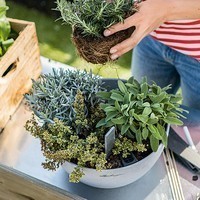 Кашпо Lechuza Cubeto Stone 40 серый камень 13840