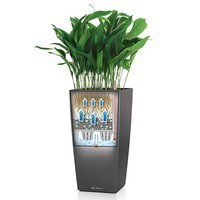 Кашпо Lechuza Cubico 40 сливовый 18221