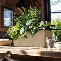 Кашпо Lechuza Balconera Stone 50 песочно-бежевый 15651