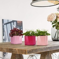 Вазон Lechuza Cube Glossy 14 розовый 13513