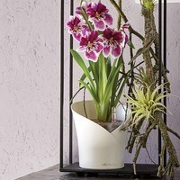 Вазон Lechuza Orchidea 20 белый матовый 13960