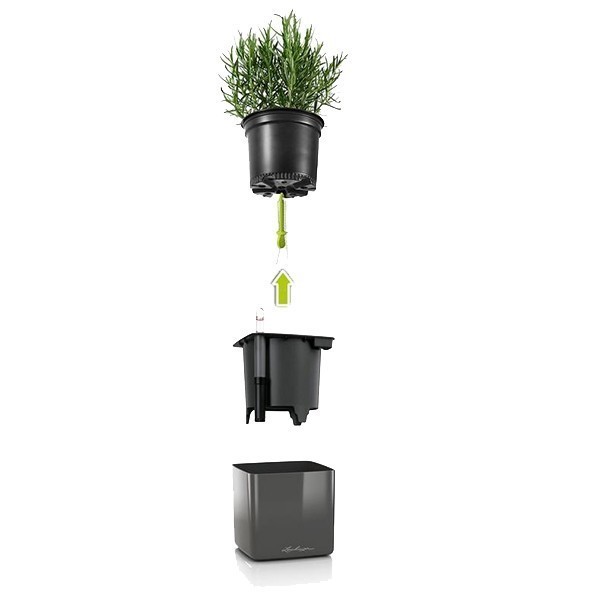 Комплект Lechuza Green Wall Home Kit Glossy 48х6х14 см красный 13525