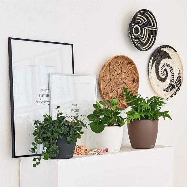 Вазон Lechuza CLASSICO Color 18 мускатный 13262