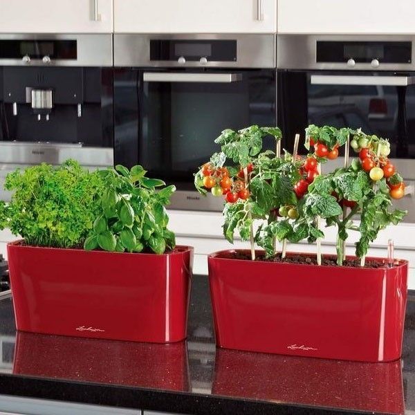 Вазон Lechuza DELTA 20 Белый блестящий 15560