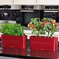 Вазон Lechuza DELTA 20 Белый блестящий 15560