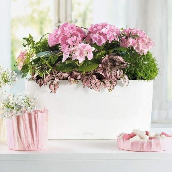 Вазон Lechuza DELTA 20 Белый блестящий 15560