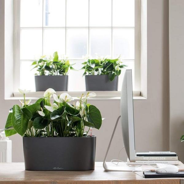 Вазон Lechuza DELTA 20 Белый блестящий 15560