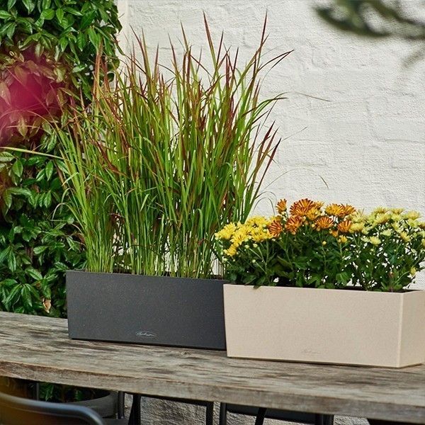 Вазон Lechuza Balconera Stone 50 графитово-черный 15652