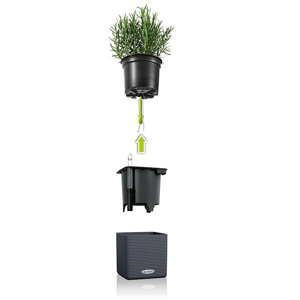 Комплект Lechuza Green Wall Home Kit Color 48х6х14 см серый 13399