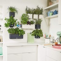Комплект Lechuza Green Wall Home Kit Color 48х6х14 см серый 13399