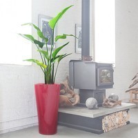 Вазон Lechuza Delta 40 красный 15539