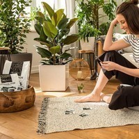 Субстрат Lechuza PON 3 л 19560