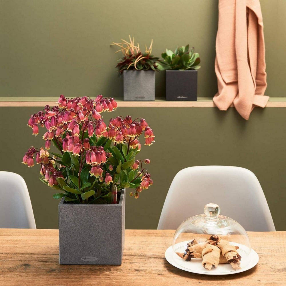 Вазон Lechuza CANTO Stone 14 кварцевый белый 13477