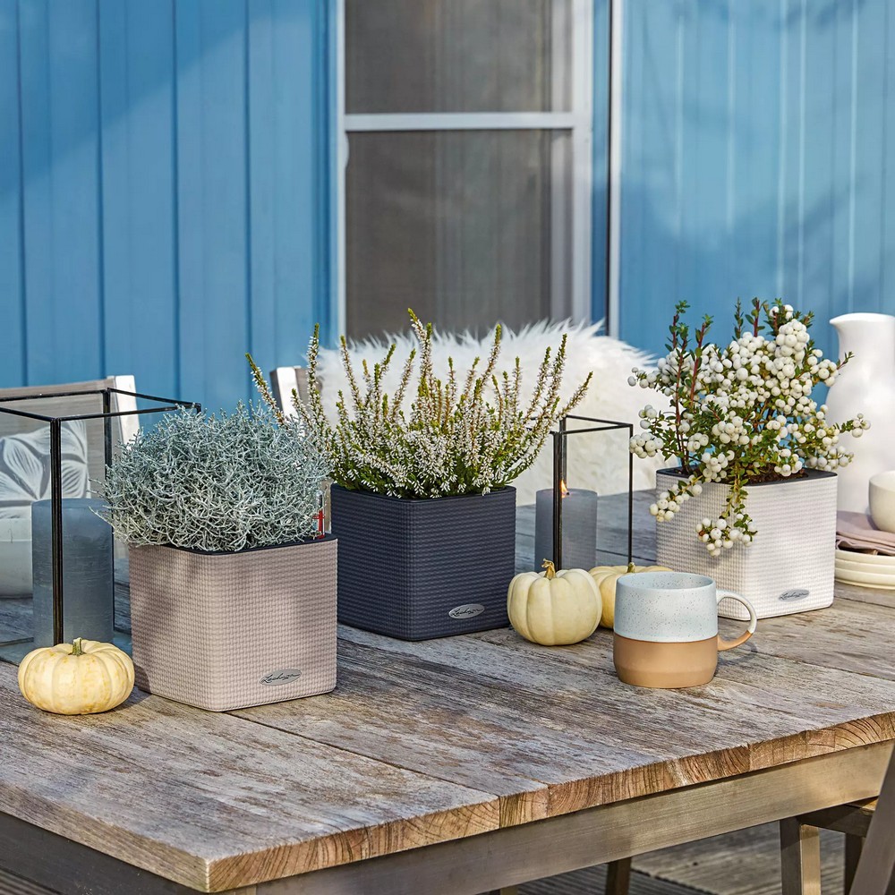 Умный вазон Lechuza Cube Color 14 1 л песочно-коричневый 13478