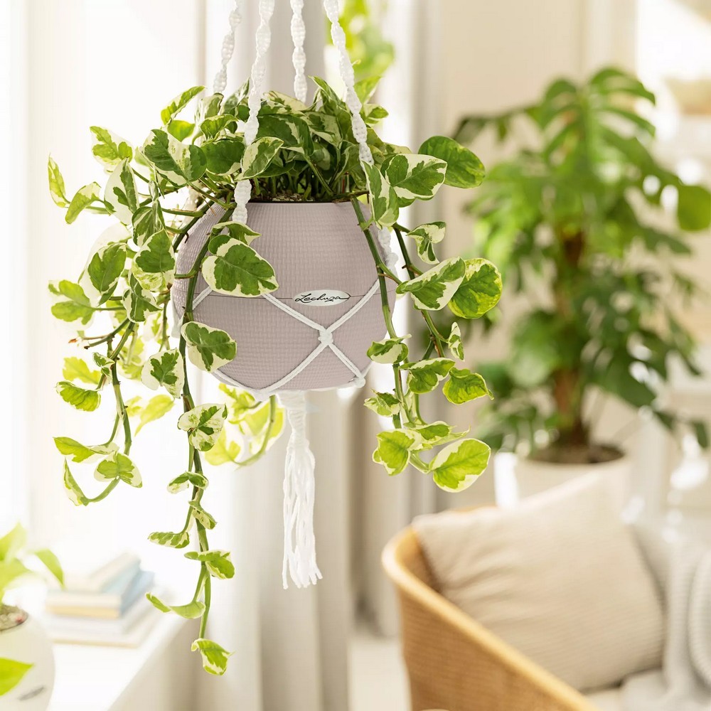 Умный вазон Lechuza Puro Color 20 1,2 л оранжевый 13374