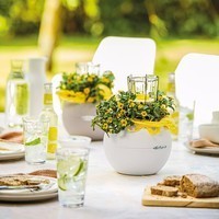 Умный вазон Lechuza Puro Color 20 1,2 л оранжевый 13374