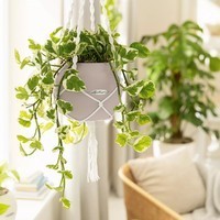 Умный вазон Lechuza Puro Color 20 1,2 л песочно-коричневый 13378