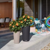 Вазон Lechuza CILINDRO Color 32 песочно-коричневый 13956