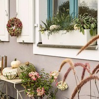 Умный вазон Lechuza Balconera Color 80 12 л светло-серый 15707