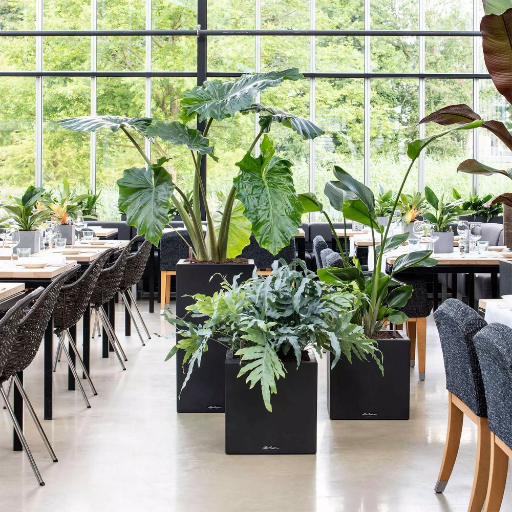 Умный вазон Lechuza Canto Stone 30 low 12 л кварцевый белый 13707