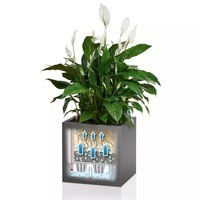 Умный вазон Lechuza Canto Premium 40 low 29 л белый блестящий 13750