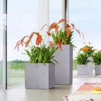 Умный вазон Lechuza Canto Stone 40 high 29 л кварцевый белый 13627