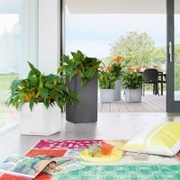 Умный вазон Lechuza Canto Stone 40 high 29 л антрацит 13653